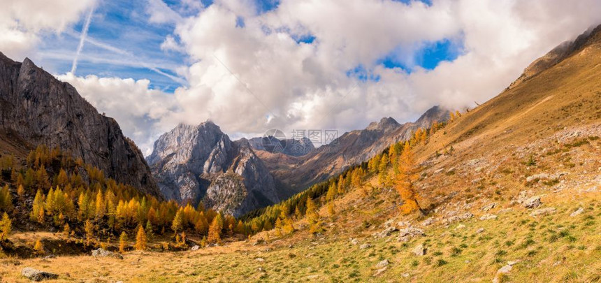 阿尔卑斯山季节地秋天风景森林丰富多彩顶峰图片
