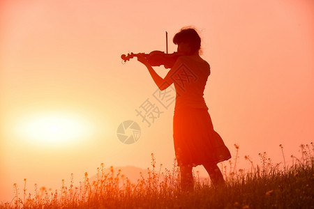 太阳音乐家女人在红日落时拉小提琴在草原上自然美丽的背景图片