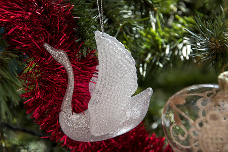 装饰在圣诞树上挂着的玻璃天鹅装饰品美得贴近节日照片美丽的自然图片