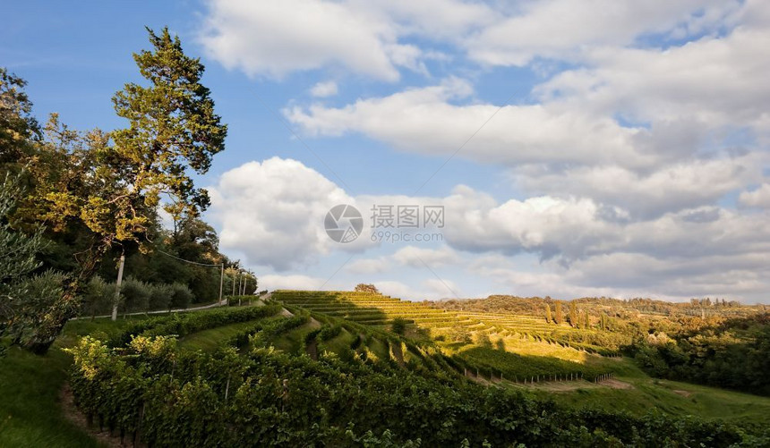 谷爬坡道夏季的植物园与蓝色天空和云彩对抗农业图片
