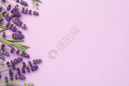 粉红背景的紫色花朵复制太空间芳香疗法白色的多于图片