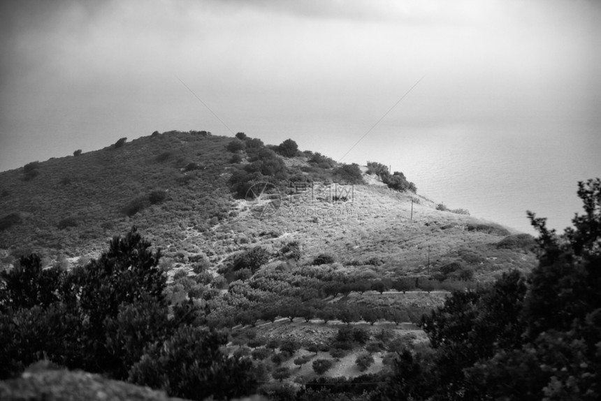 体重雨季希腊群岛克里特地貌景观瓦尔塔诺夫树木图片