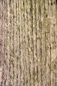 有质感的旧风化木材grunge纹理木板墙纸图片