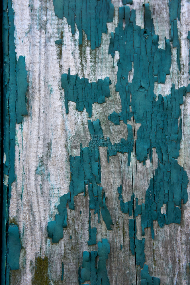 旧风化木材的grunge纹理硬木生的地面图片