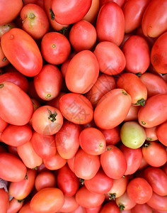 颜色大量新鲜番茄供市场销售健康食物图片