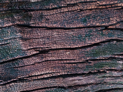 绿色古老的黑纹身木质背景旧褐色木质图纸表面棕色木板墙闪电图片