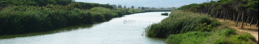 户外一带植物和森林的河流全景观海地人水土生物目的地绿色图片