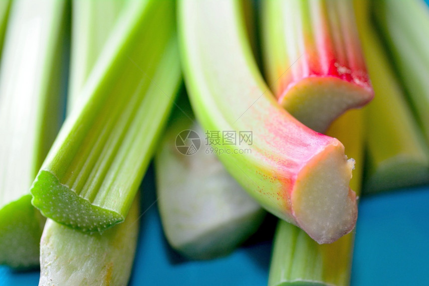 食用Rhubarbs根植于蓝色背景上的rhubarb条茎的宏观拍摄营养图片