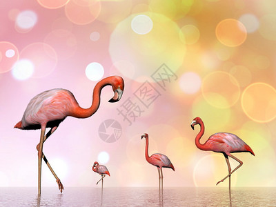 飞行中火烈鸟大火烈鸟以粉红色的bokeh背景在中行走3D转化禽类动物数字的设计图片