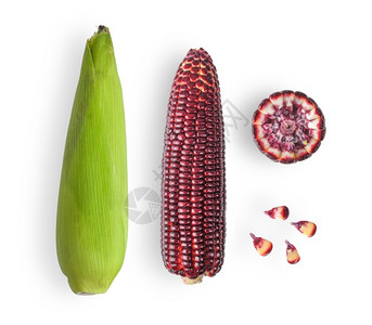 食物自然白色的背景红玉米图片