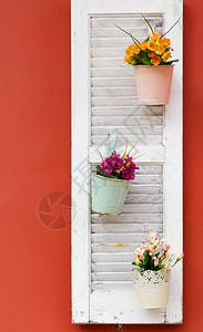 美丽的长方形锅橙色墙上的白木窗三个花盆图片