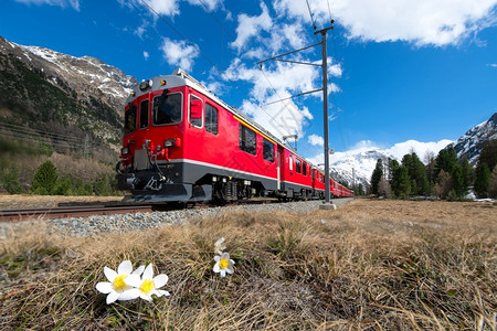 伯尔尼纳的红列车在春天庞特瑞西纳附近快速通过拉教科文组织安全图片
