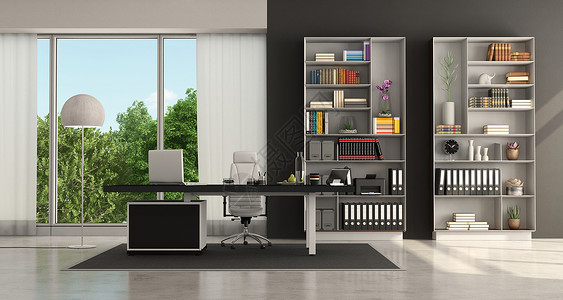 书柜灯白色的笔记本电脑家带有桌面和书架3D黑白现代办公室的黑色和白现代办公室设计图片