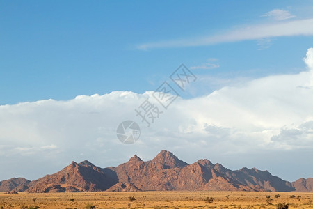 纳米比亚布沙漠风景图片