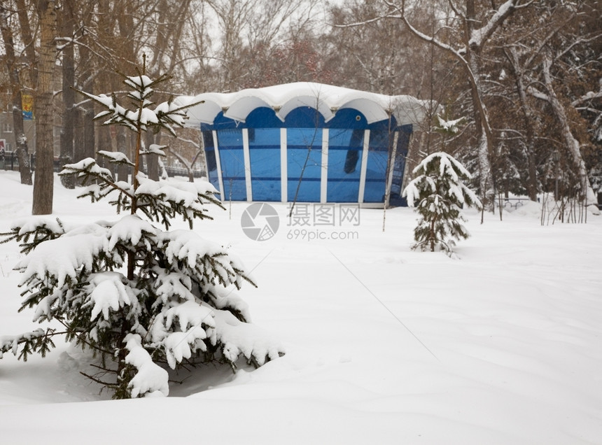 松树207年1月西伯利亚新诺沃比罗斯克公园的雪暴咖啡厅场景店图片