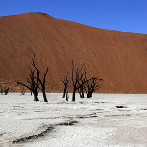 非洲景观石化纳米比亚布沙漠的死浮体盐罐位于索苏夫莱较著名的盐盆附近图片