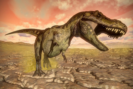 龙卡多雷斯日落时暴龙雷克斯咆哮3D变成暴龙雷恐吼叫3D插图暴龙类形象的设计图片