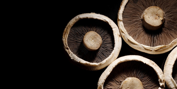 自然黑色背景全图象上的蛋白蘑菇食用物图片