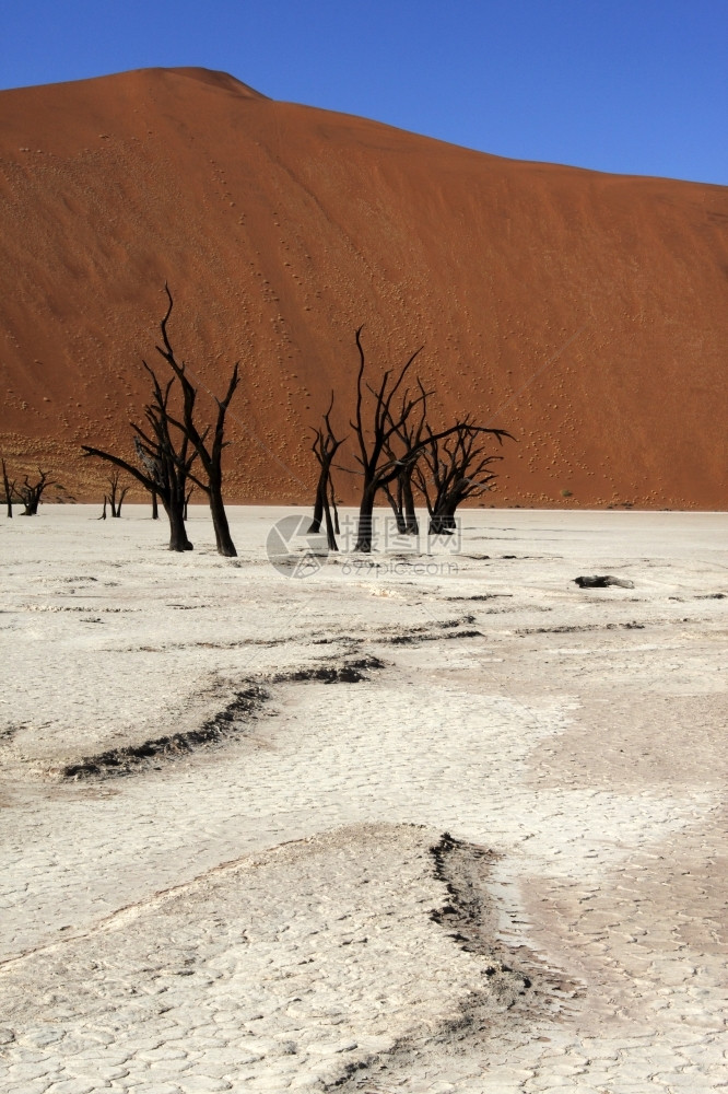 沙丘风景优美更多的纳米比亚布沙漠的死压盐是一座锅位于索苏夫莱较著名的盐盆附近图片