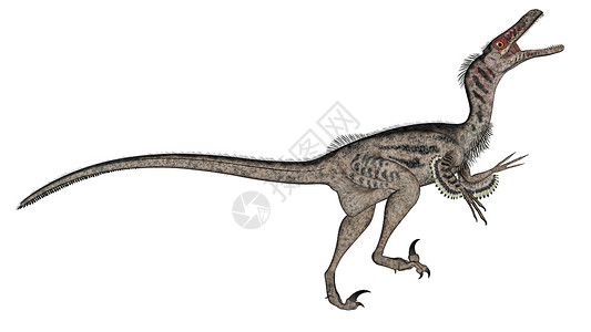 怒吼肉食动物在白色背景中被孤立的恐龙3D化为巨型恐龙3D化为打猎动物设计图片