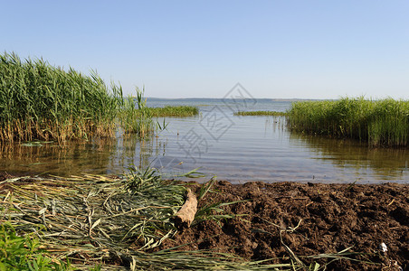 天空草普列谢耶沃湖俄罗斯佩雷拉夫扎莱基附近有厚的长匆忙绿色高清图片素材