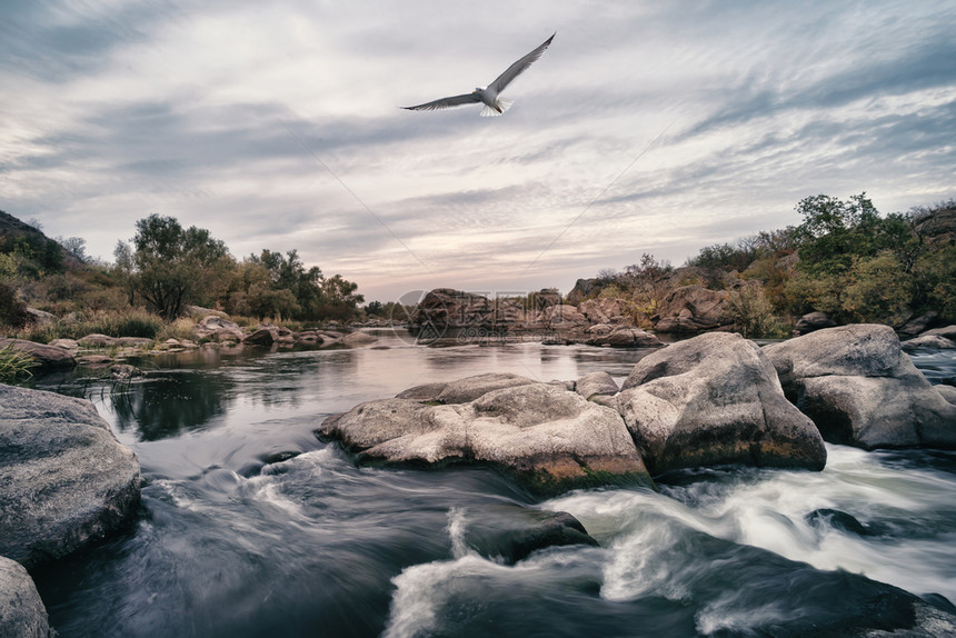 公园结石山河在头上滚动海鸥在天空山河石头上滚动海鸥在天空岩石图片