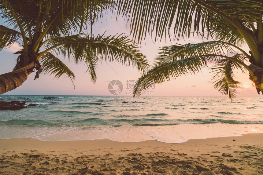 橙美丽的天堂岛日落时椰子棕榈树周围有海滩和滨节假日概念时间热带图片