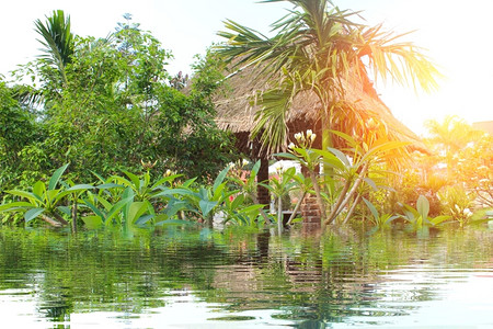 湖挂越南的传统住房水图片