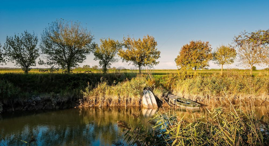 自然户外美丽的池塘绿树木和停靠在河岸的一艘船工艺图片