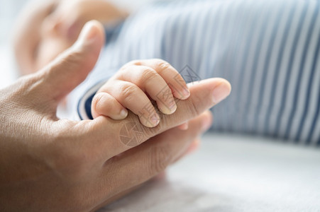 婴儿手机关心手握着母亲指的新生婴儿手上握着母亲的指生活人类设计图片