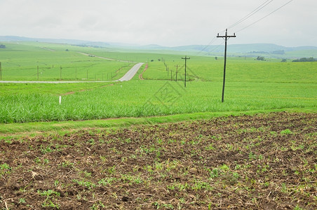 电气公路旁边的田地上电线自然环境图片