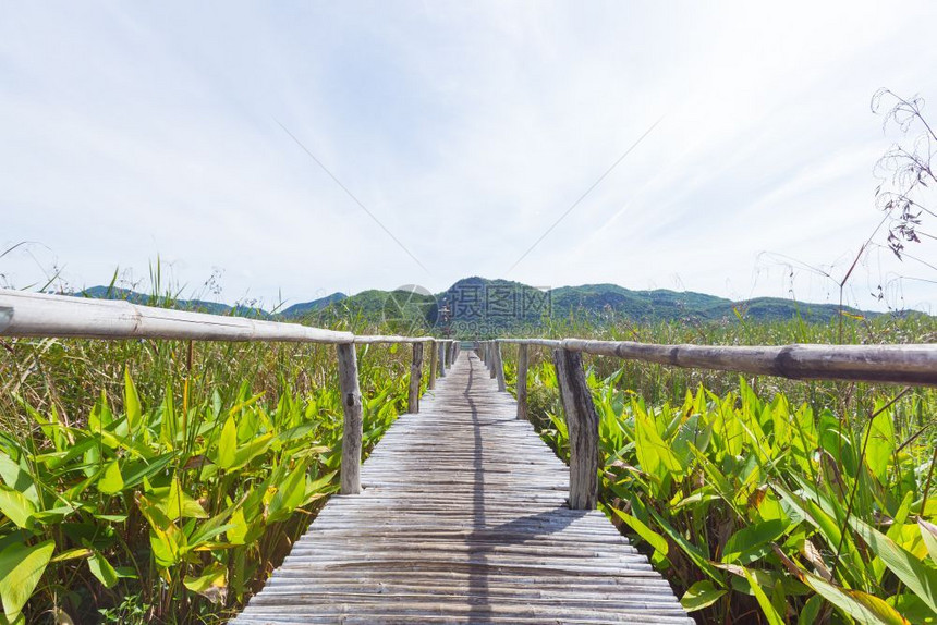 户外田野美丽的木桥图片