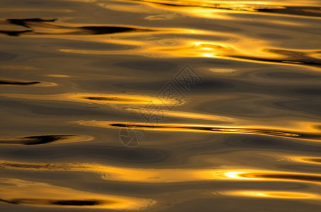 金湖杨国家森林公园涂层表面的太阳光是金色纹理和背景金色波浪液体清爽河设计图片