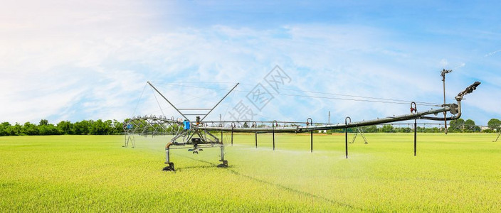 生长水旋转小麦田的轮子灌溉系统农业技术图片