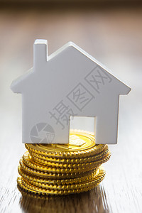 财产概念与金币皮质模拟房屋住货币销售图片