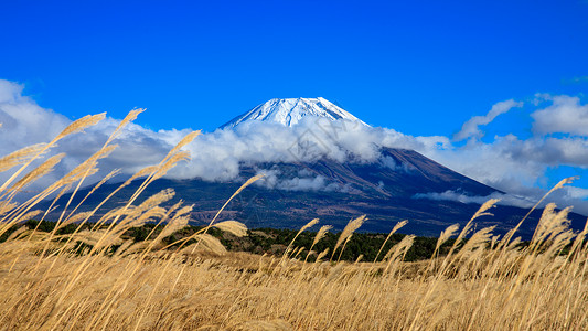 寒冷的日本人凉爽藤山和蓝天空背景日本草原的地占面高清图片