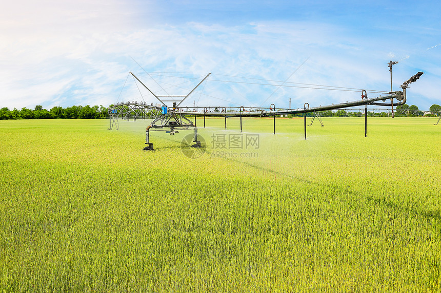 洒水器绿色场地小麦田的轮子灌溉系统农业技术图片