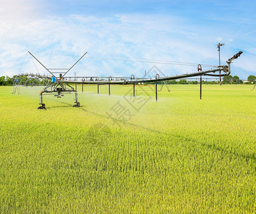 供应小麦田的轮子灌溉系统农业技术户外水图片