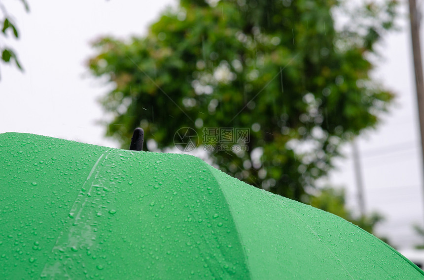 绿色雨伞上的滴水天气降低户外图片