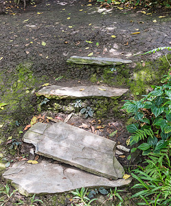 苔藓在公园自然通道上古老的石阶梯子和苔土壤岩石图片