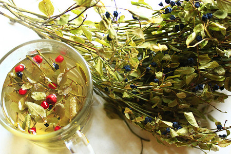 干燥热的茶用油菜莓叶和草树酿制有用茶油粉和草莓及酿制背景