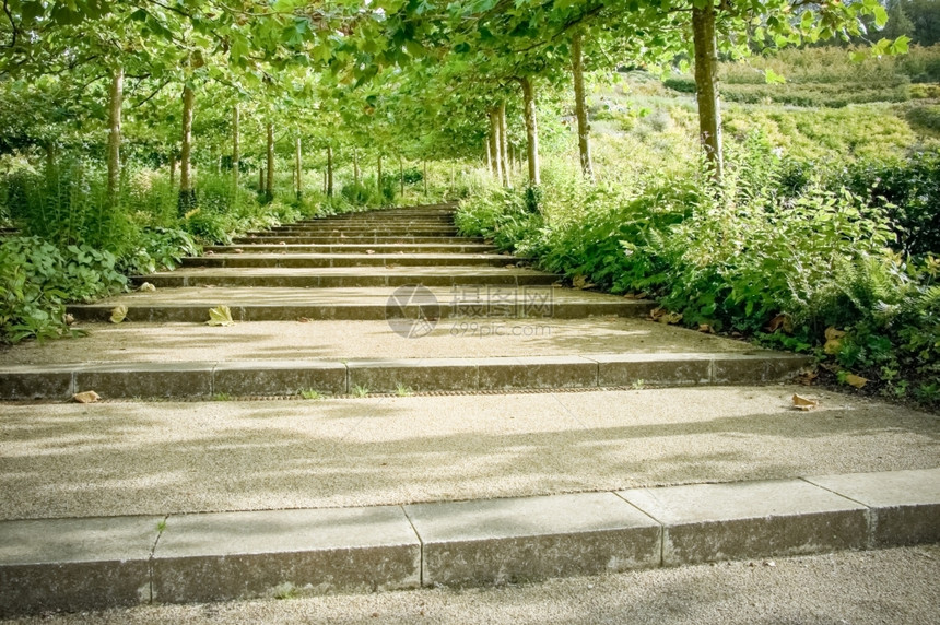 叶子园景夏天通过一个正规花园直线条形路步骤的树木级联图片