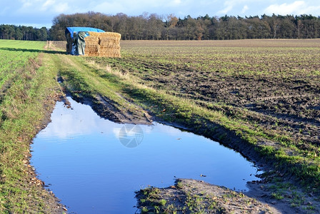 镜子在荷兰Hoendeloo的田地牧场上防水塔保护稻草土地木头图片