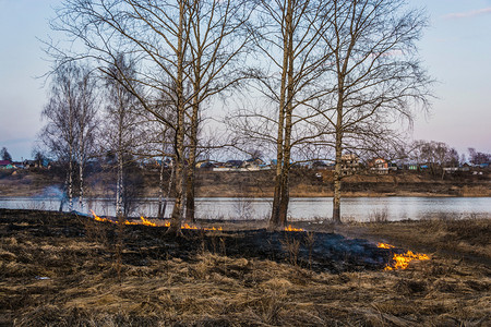 红色的自然燃烧去年春天初在伊万诺沃市郊区非法焚烧干燥的去年树根草背景图片