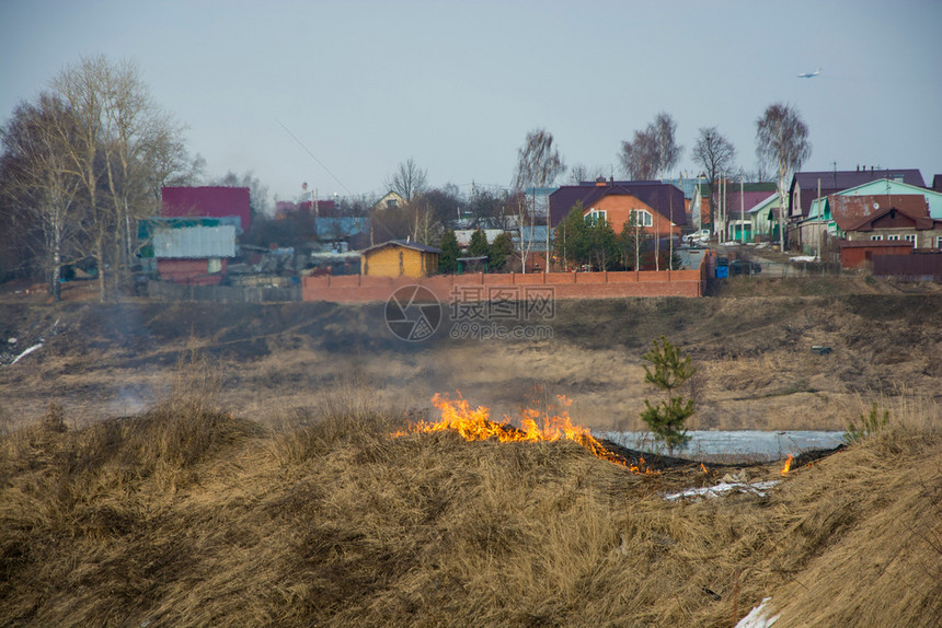 红色的早期去年春天初在伊万诺沃市郊区非法焚烧干燥的去年树根草火焰图片