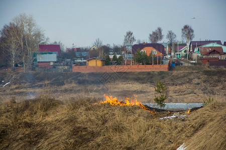 红色的早期去年春天初在伊万诺沃市郊区非法焚烧干燥的去年树根草火焰背景图片