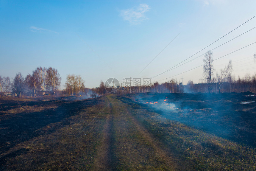 环境危险去年春天初在伊万诺沃市郊区非法焚烧干燥的去年树根草非法的图片