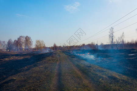 环境危险去年春天初在伊万诺沃市郊区非法焚烧干燥的去年树根草非法的背景图片