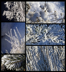 景观白雪皑的背景冬季收藏霜品图片