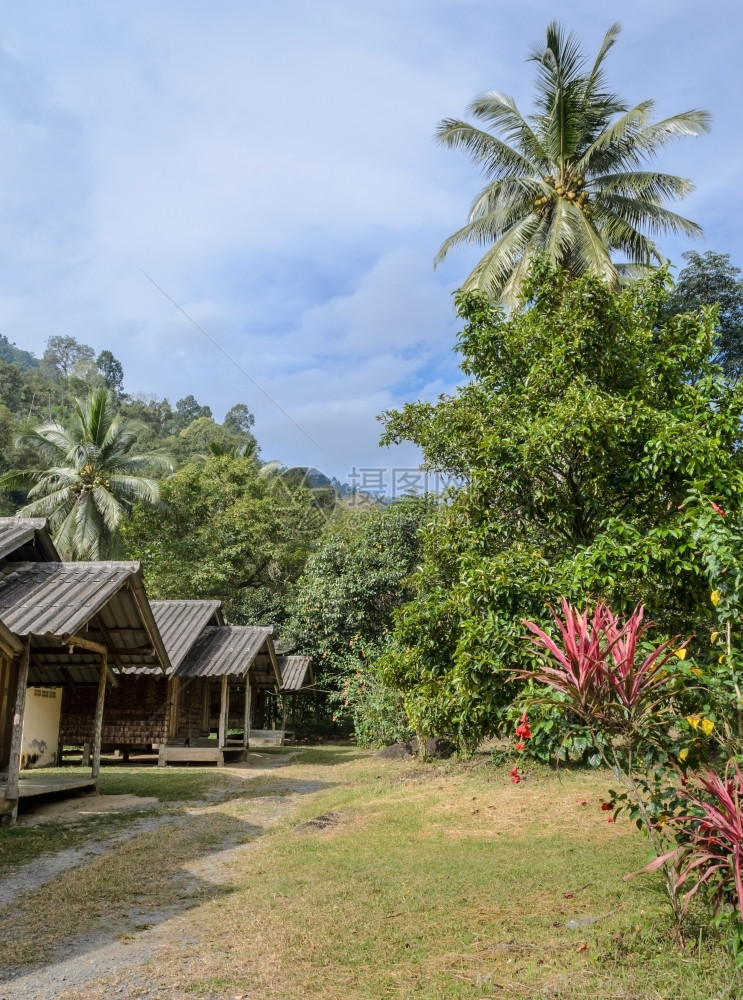 泰国NakhonSiThammarat的泰国农村小屋和花园景观自然旅行图片